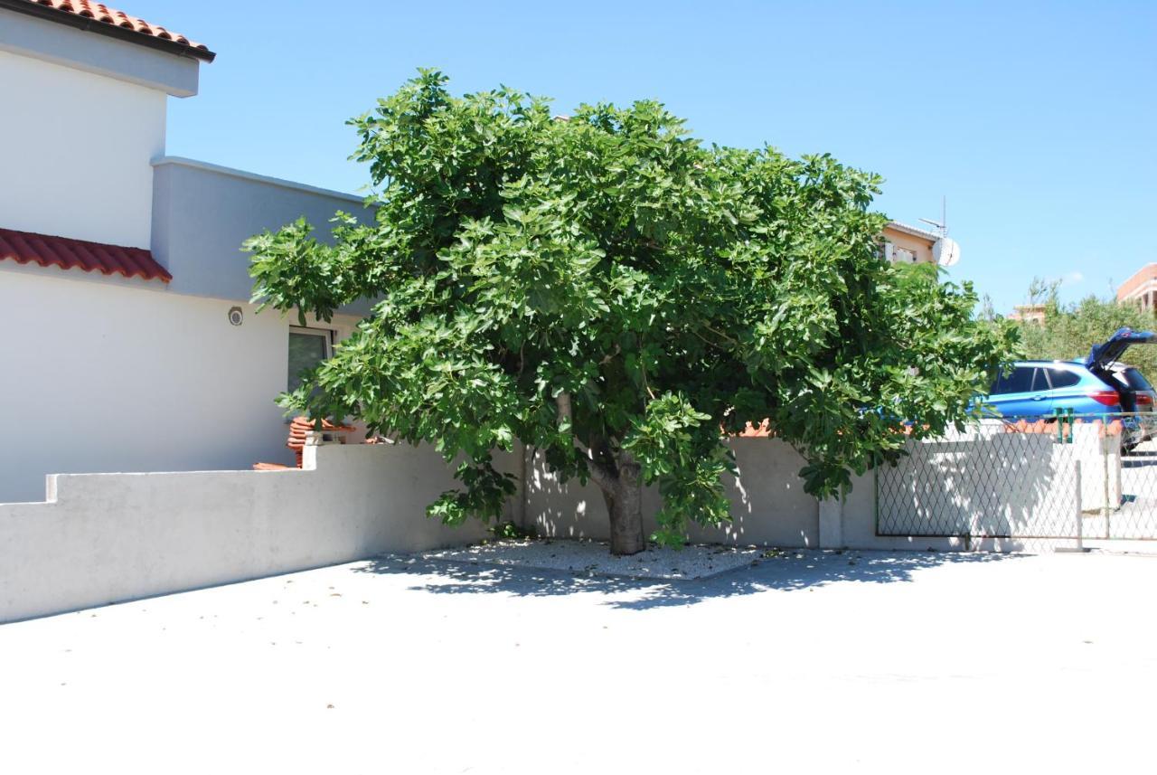 Villa Sabina - Apartments Kroatien Ražanac Exterior foto